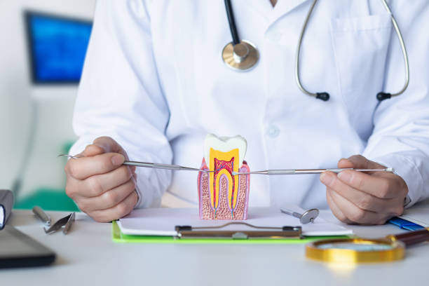 Best Emergency Dental Care for Broken or Chipped Teeth in Aurora, IL